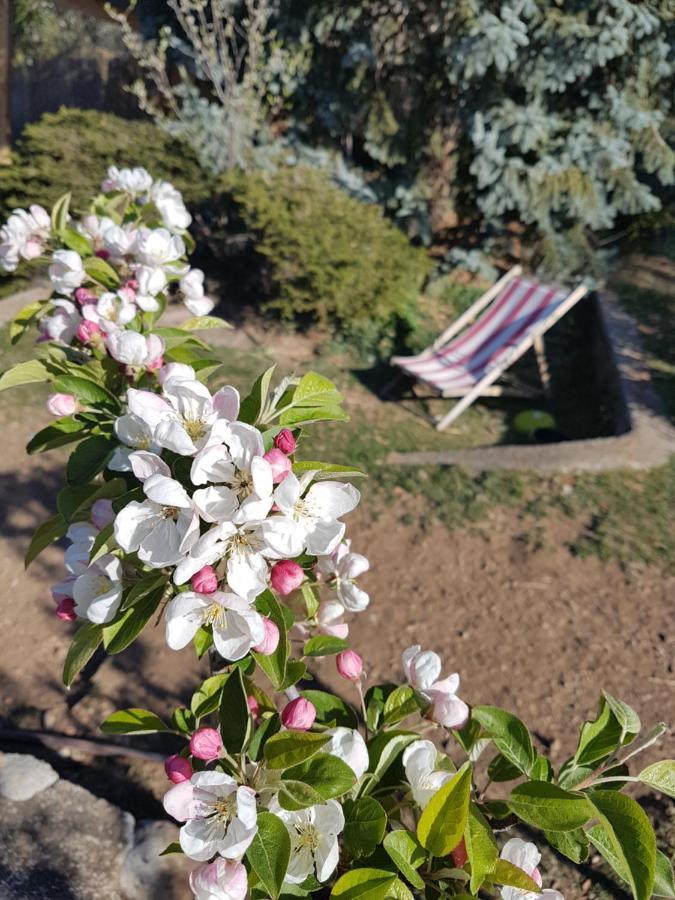 לינה וארוחת בוקר ואלדבלור A La Belle Epoque מראה חיצוני תמונה